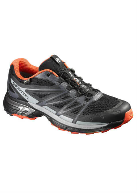 salomon wings pro 2 gtx